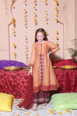 Zari Orange Net Frock - Naurangi Nair